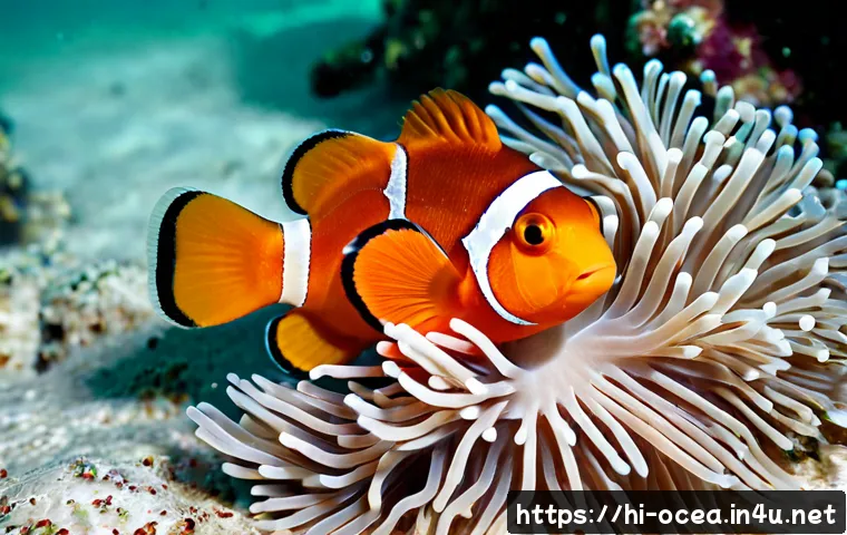 Home 17 해양 생물의 색소와 생리 작용 - Photorealistic close-up underwater portrait of a vibrant orange clownfish nestled among pale sea ane...