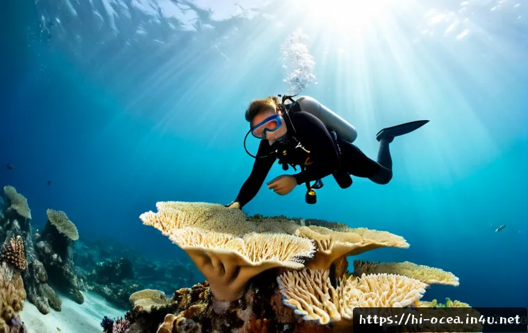 Home 17 해양 생태 복원 프로젝트 - Photorealistic underwater marine restoration project, two scuba divers carefully attaching healthy c...